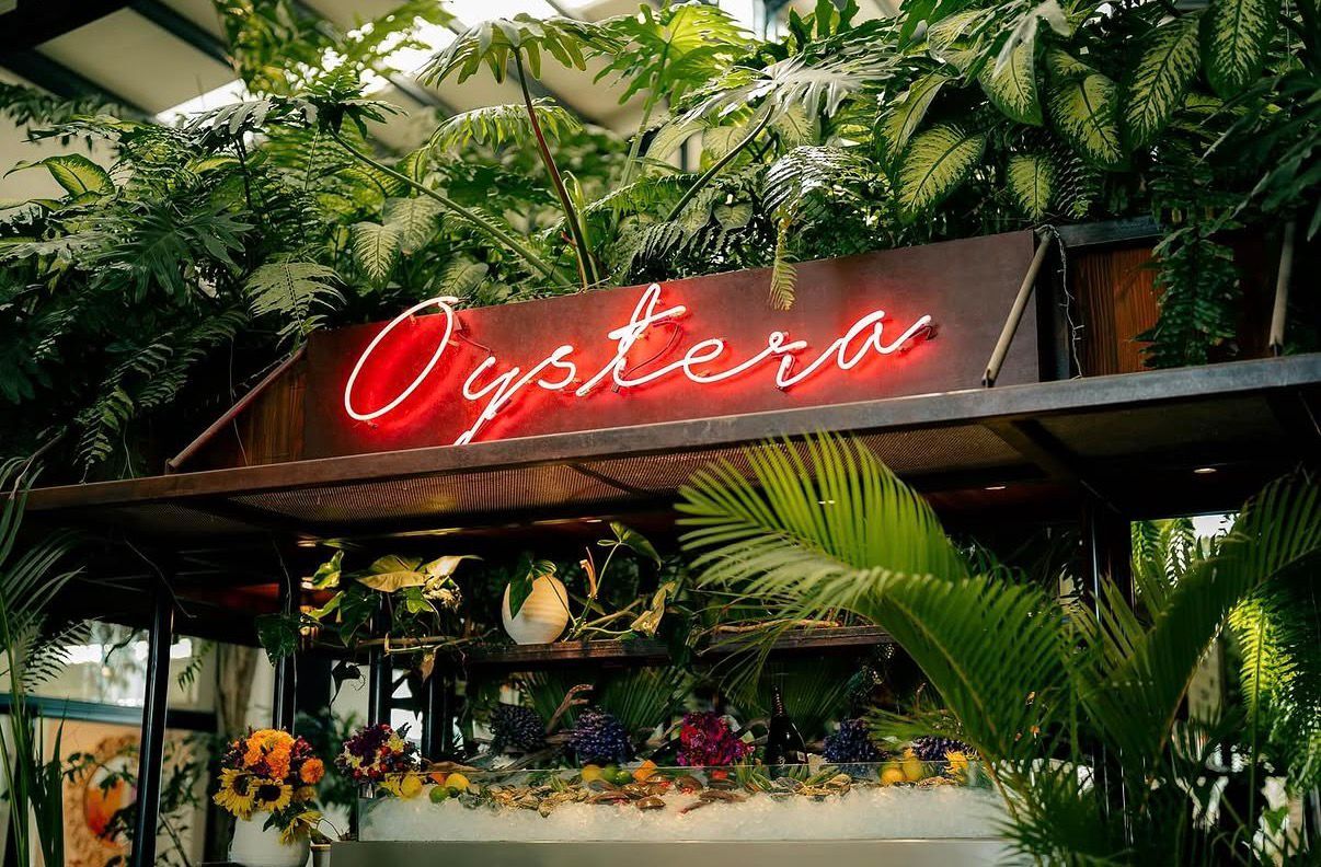 Located in Todos Santos, BCS.